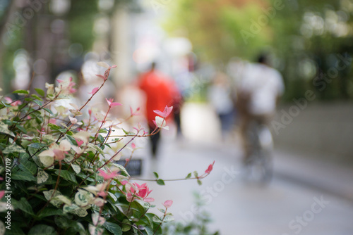 街路