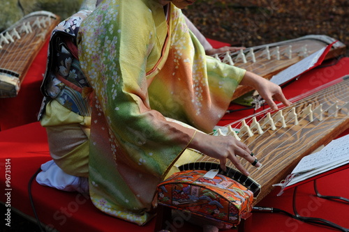 琴を弾く女性