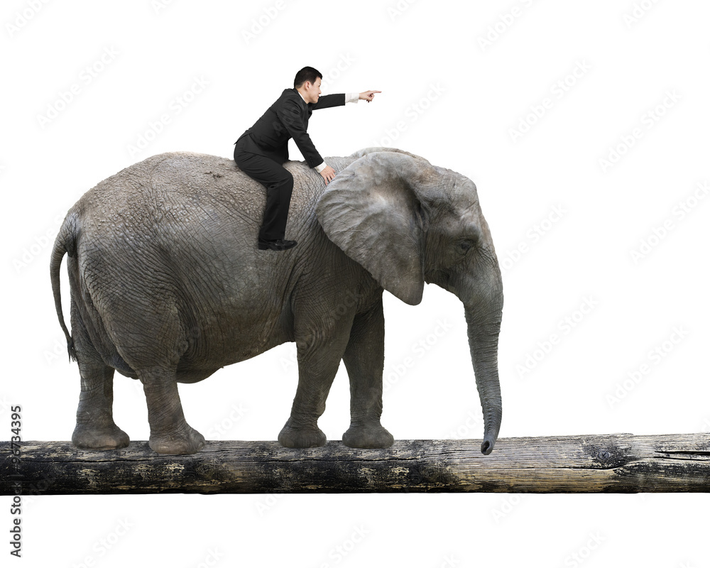 Fototapeta Man with pointing finger riding elephant walking on tree trunk