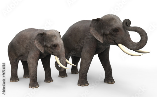 3D elephants standing isolated on white background