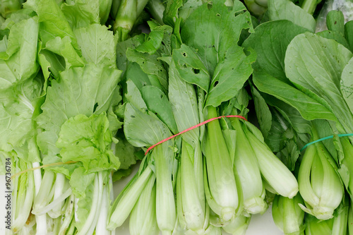 The chinese flowering cabbage with elastic band.