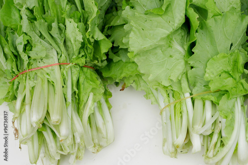 The chinese flowering cabbage with elastic band.