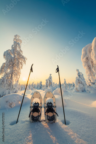 Winter landscape with snowy trees and snowshoes