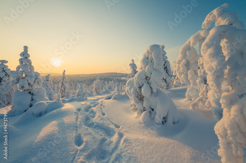 Winter landscape with snowshoes track photo