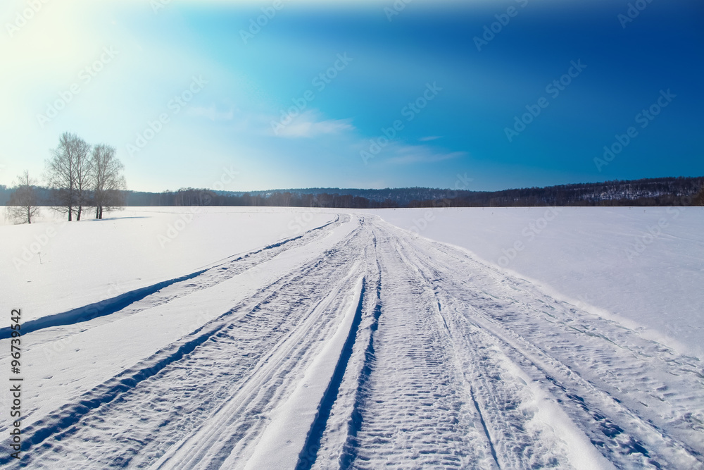 Winter landscape on trees