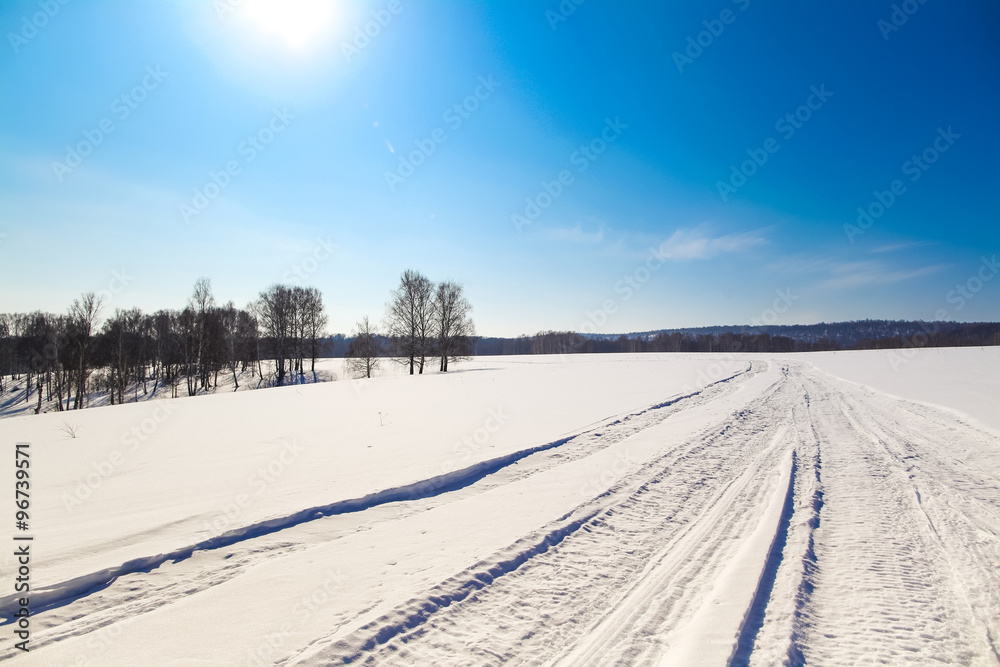 Winter landscape on trees