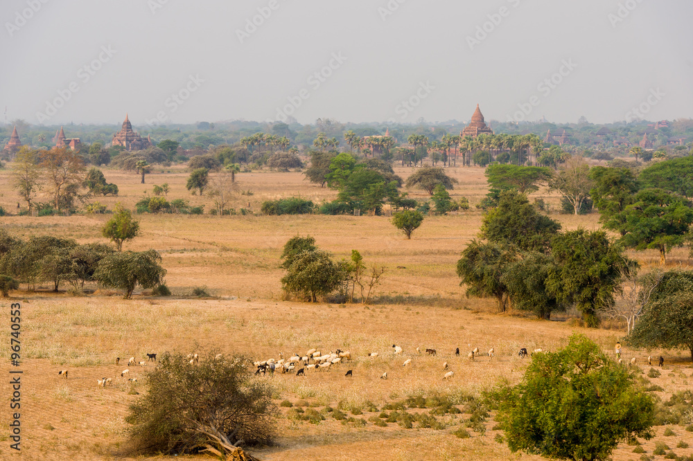 Sunset in Bagan, Myanmar. Bagan is ancient city with thousands of ancient temples in Myanmar. Sunset in Bagan, Myanmar. Bagan is ancient city with thousands of ancient temples in Myanmar.