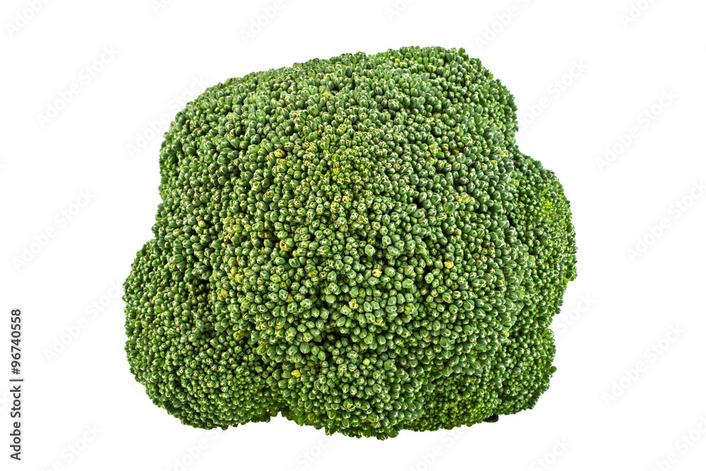 Fresh broccoli isolated on white background Fresh broccoli isolated on white background