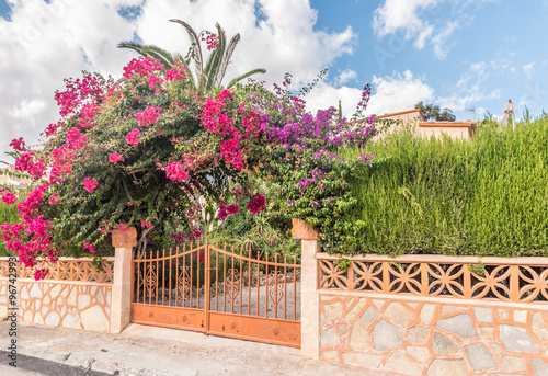 Gartentor und üppiger Blumenschmuck, Mallorca