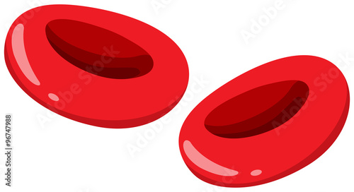 Close up red blood cells