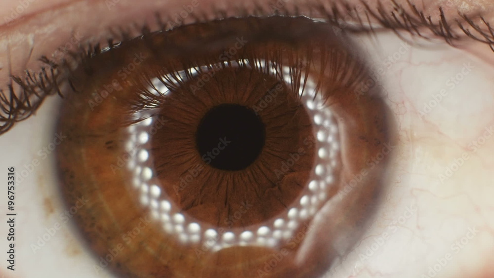 Extreme macro close up eye iris pupil contracting light reflection. Extreme macro close up eye iris pupil contracting light reflection.