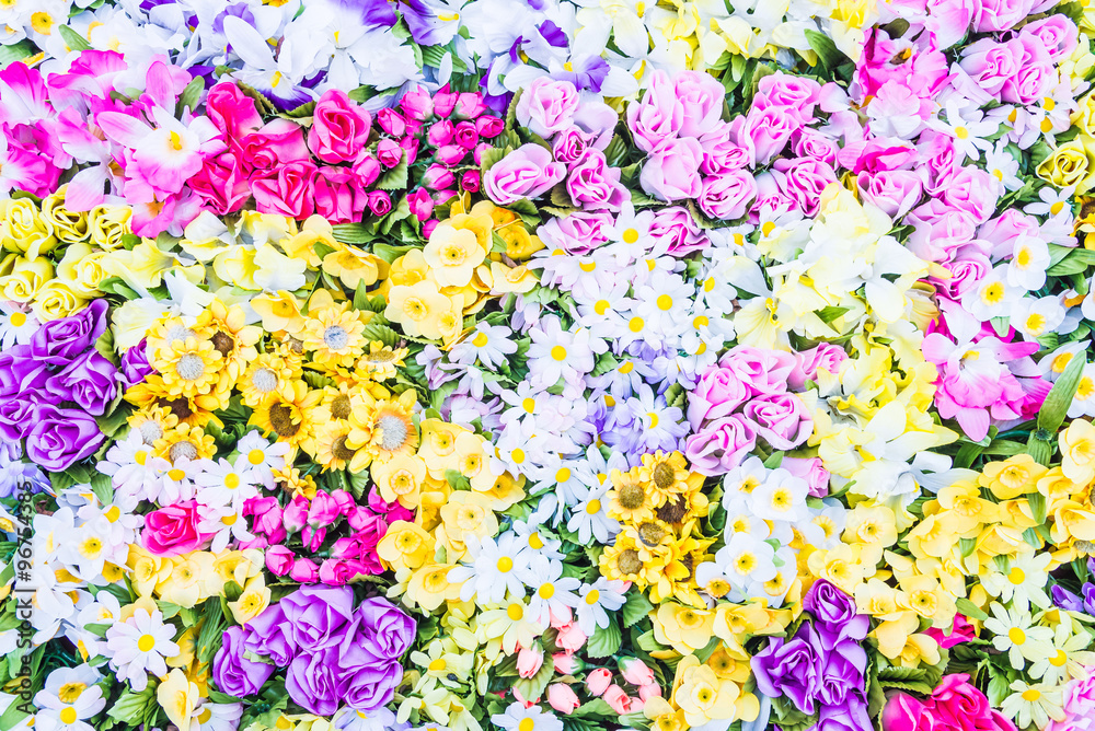 Flower backgrounds Flower backgrounds