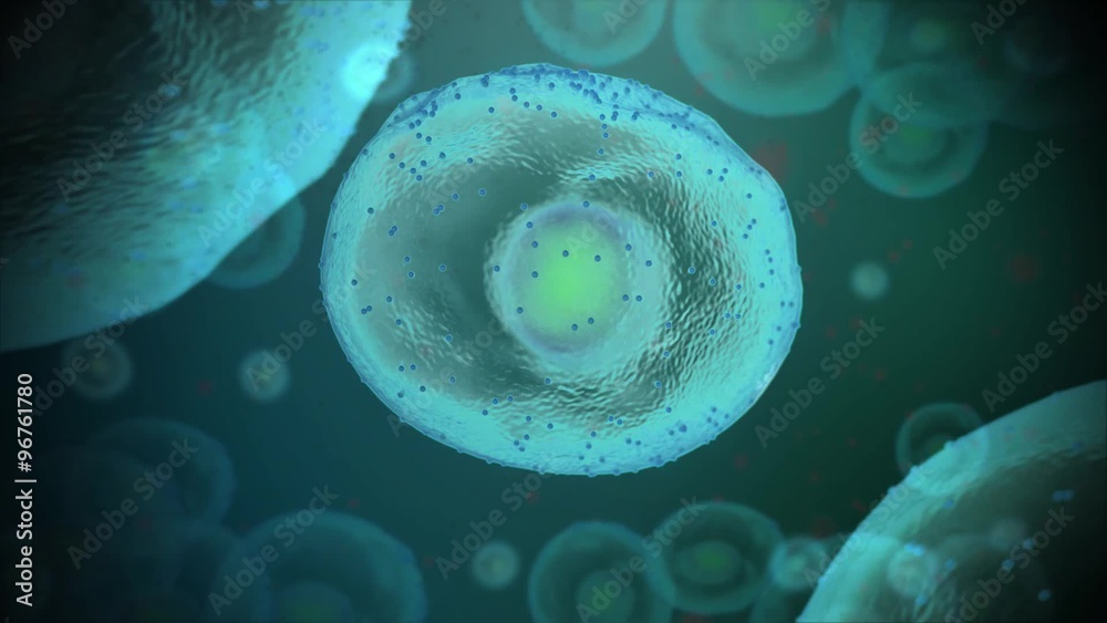 cellules flottant dans un milieu liquide