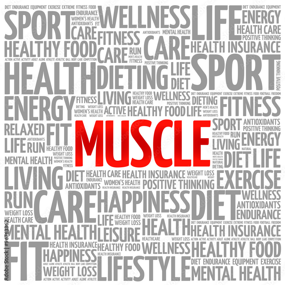 Muscle word cloud background, health concept Muscle word cloud background, health concept