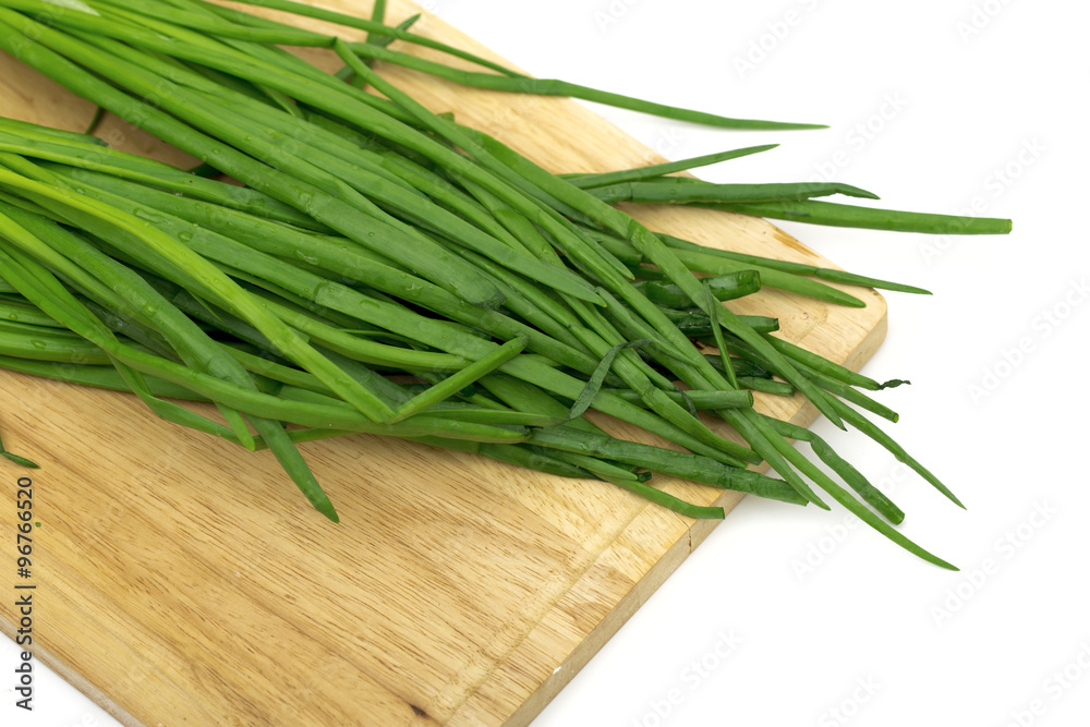 green onions on the white background green onions on the white background