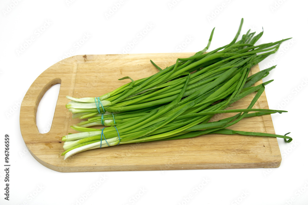 green onions on the white background green onions on the white background