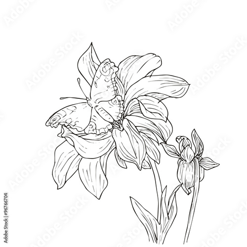 Fototapeta Hand drawn vector with flowers