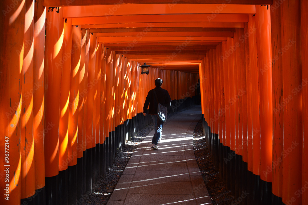 Fototapeta premium Japan Kioto 30000 tori
