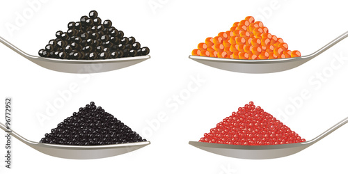 Caviar - Oeufs Poissons photo