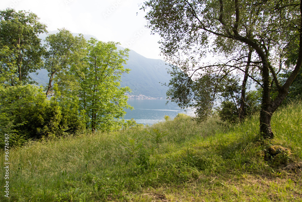 panoramic view from isola Comacina, at Como lake, Italy. between trees, water and mountains panoramic view from isola Comacina, at Como lake, Italy. between trees, water and mountains