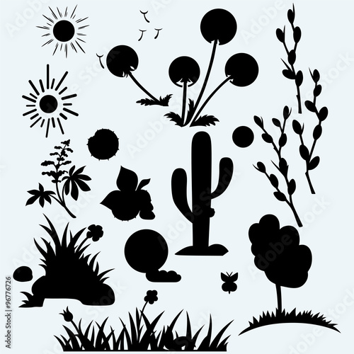 Set plants. Grass with flowers, dandelions, horse-chestnut, cactus in desert and pussy willow branches. Isolated on blue background. Vector silhouettes
