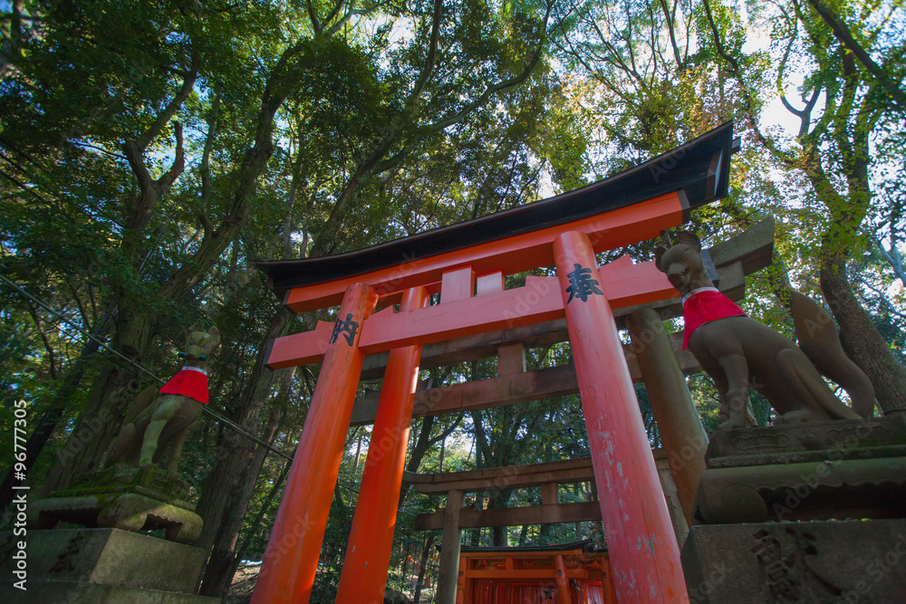 Fushimi Inari Taisha, texture of the famous red pole or torii in Fushimi Inari taisha Kyoto, Japan Fushimi Inari Taisha, texture of the famous red pole or torii in Fushimi Inari taisha Kyoto, Japan