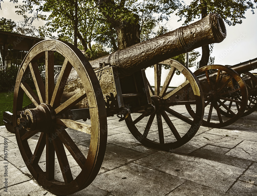 Historic cannons