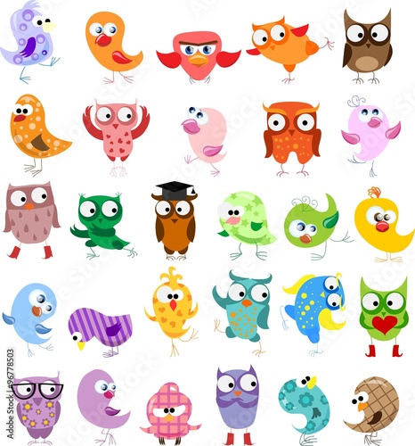 Fototapeta Naklejka Na Ścianę i Meble -  Cute birds in vector. Cartoon set