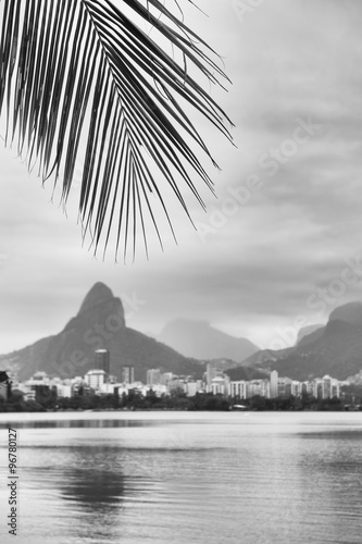 Skyline view of Lagoa lagoon in Rio de Janeiro Brazil with Ipanema and Leblon on the horizon behind palm fronds in black and white monochrome photo