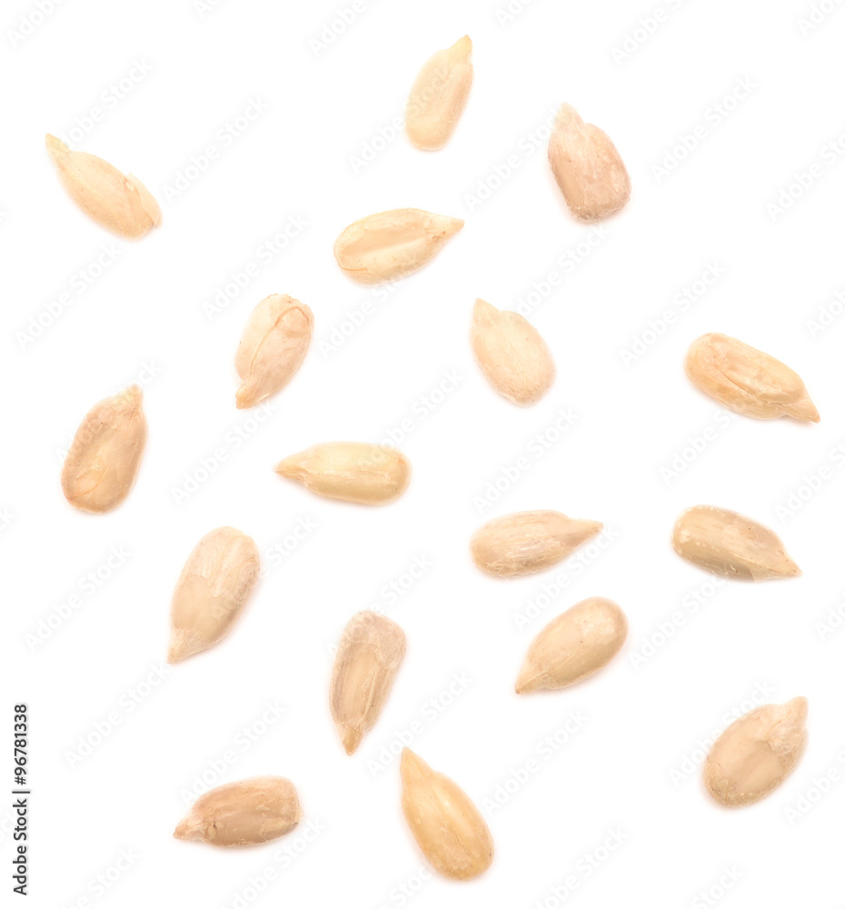 sunflower seeds sunflower seeds