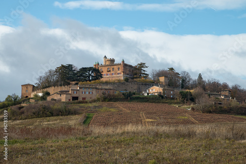 Château de Montmelas dans le Beaujolais  photo