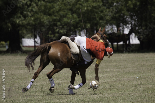 caballos deporte equino pato © Santa001