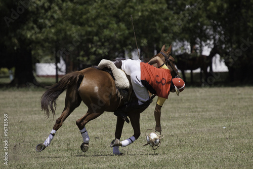 caballos deporte equino pato photo
