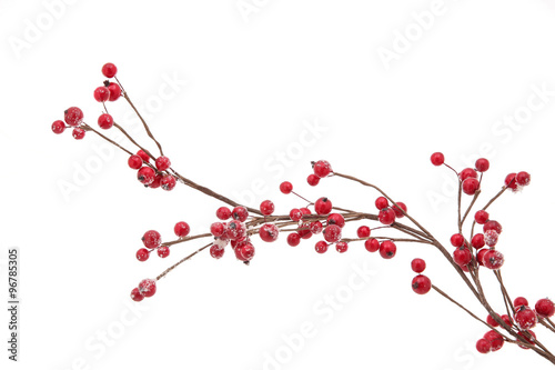 Fotografia Christmas branch with red berries