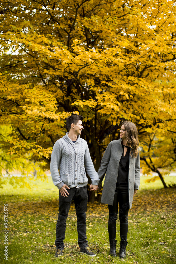 Young couple in the autumn park Young couple in the autumn park