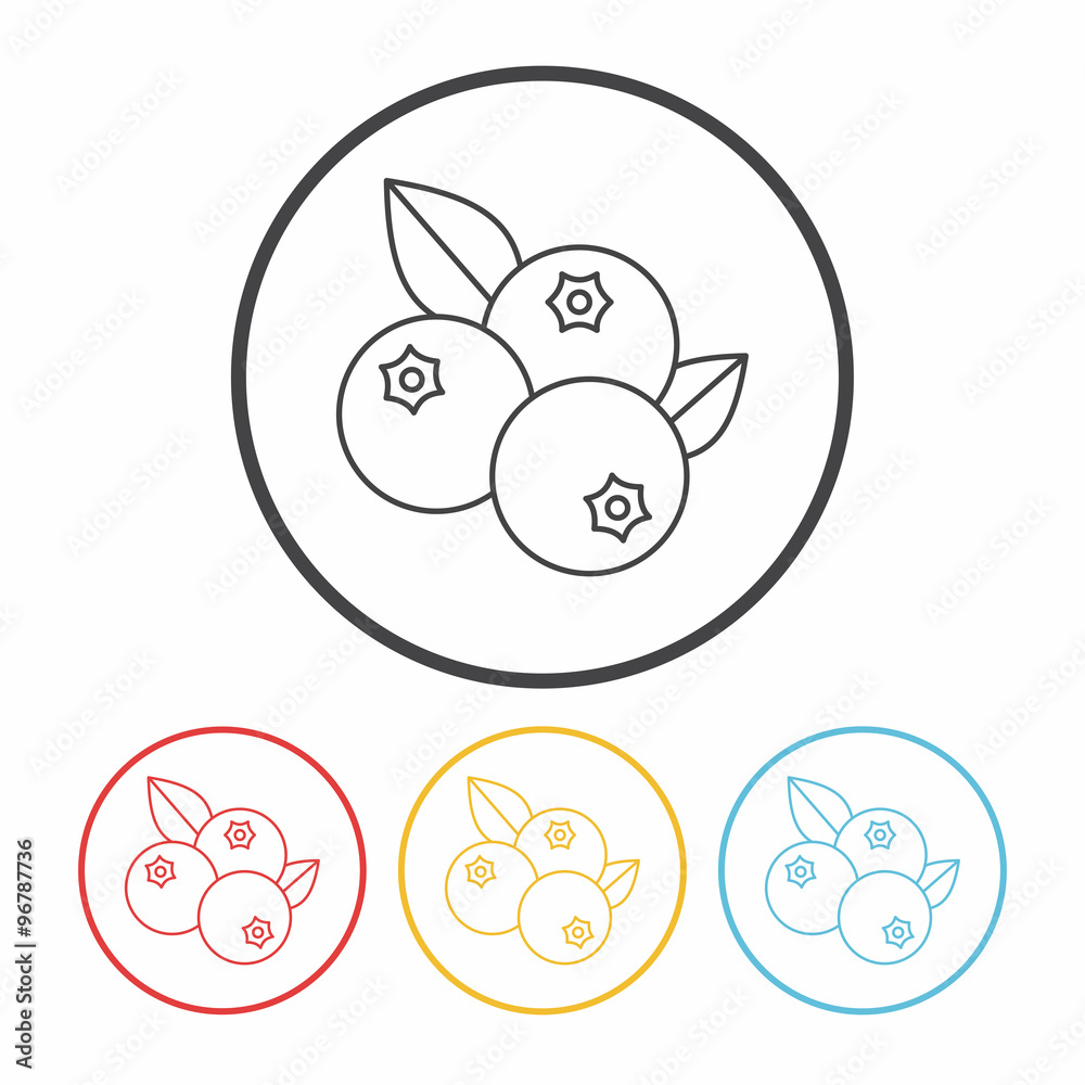 fruits blueberry line icon fruits blueberry line icon
