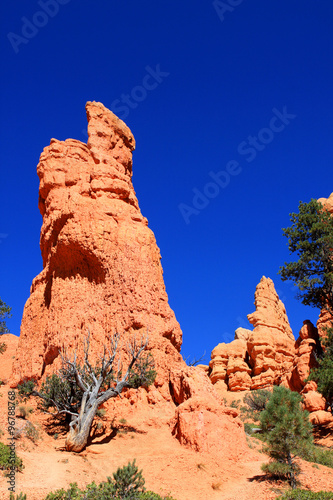 Red Canyon at Scenic Byway 12, Dixie national forest, Utah, USA