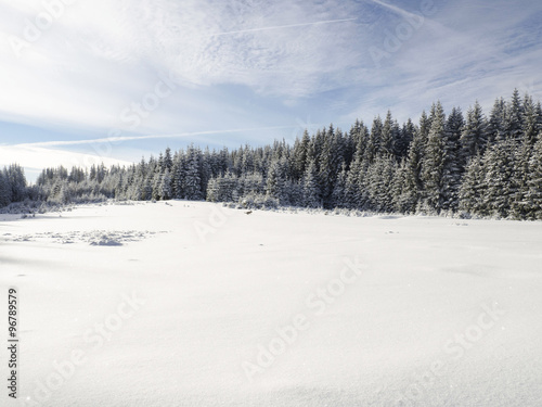 Beautiful winter landscape with snow covered trees 