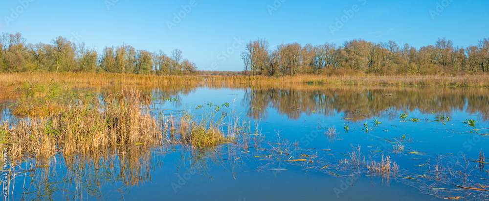 The shore of a sunny lake in autumn The shore of a sunny lake in autumn
