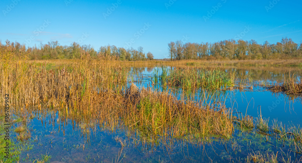 The shore of a sunny lake in autumn The shore of a sunny lake in autumn