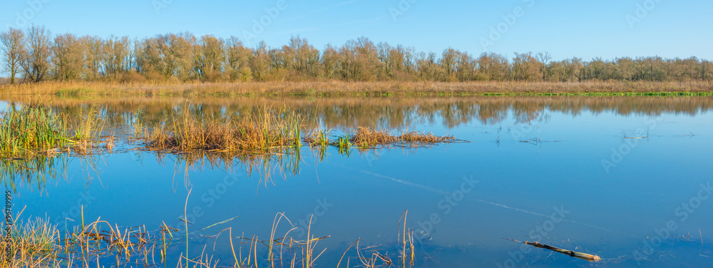The shore of a sunny lake in autumn The shore of a sunny lake in autumn