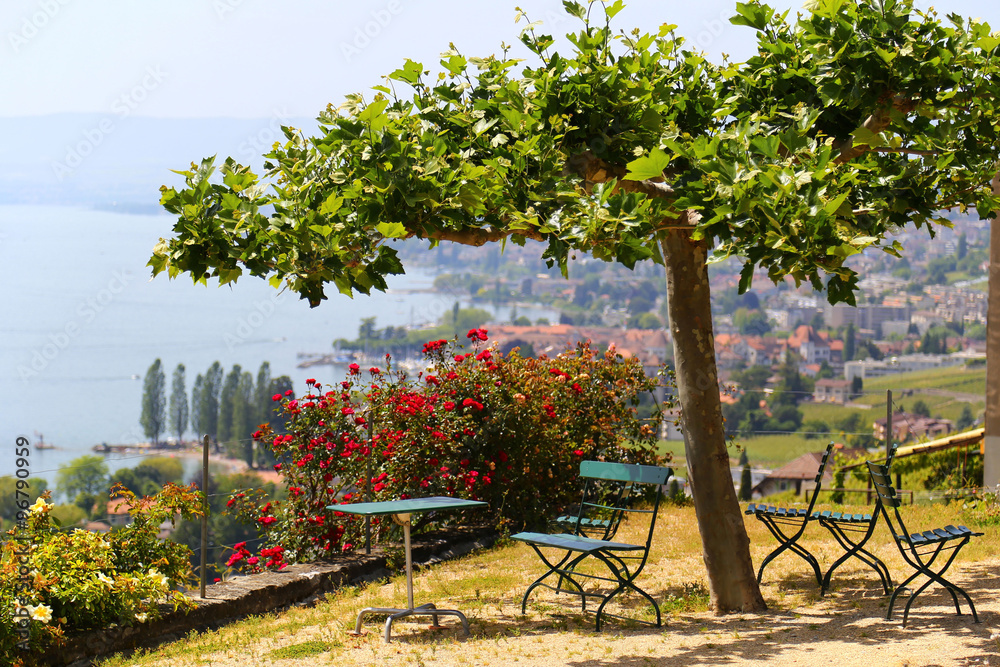Picturesque terrace with view on vineyards near Lake Geneva, Switzerland