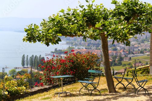 Fototapeta Naklejka Na Ścianę i Meble -  Picturesque terrace with view on vineyards near Lake Geneva, Switzerland