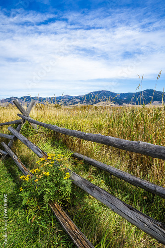 Cherry Creek Preserve