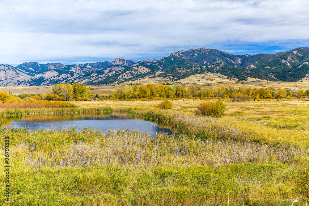 Obraz premium Cherry Creek Preserve