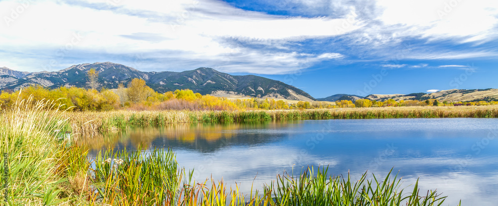 Naklejka premium Cherry Creek Preserve