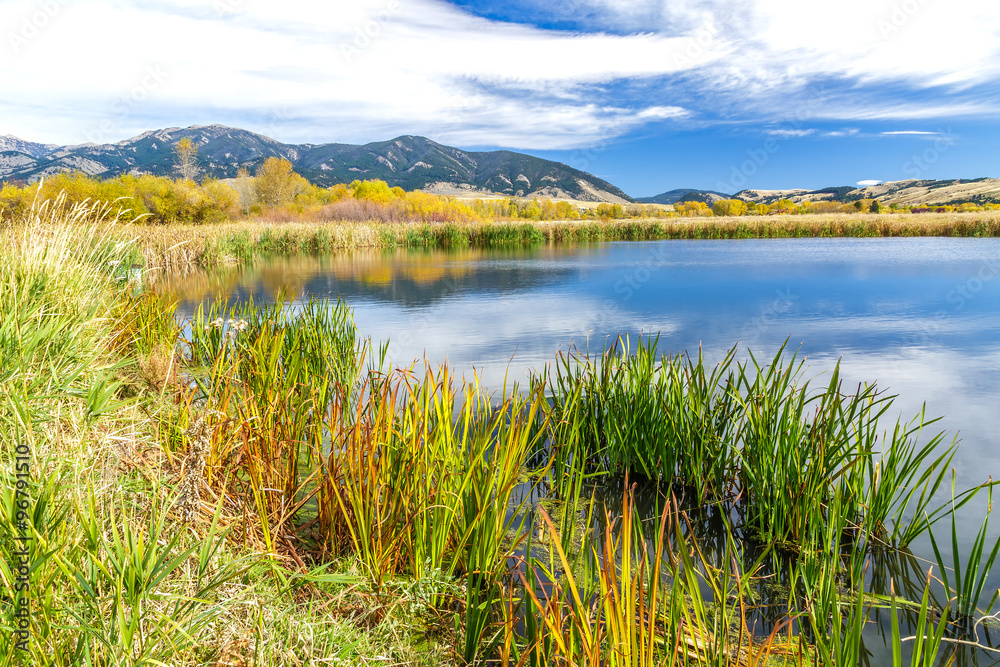 Obraz premium Cherry Creek Preserve