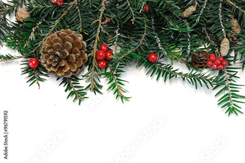 pine cone and pine tree leaves for Christmas decoration