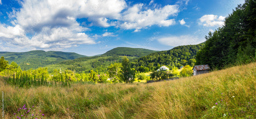 Fototapeta premium panorama of village and meadow on hillside near mountain forest