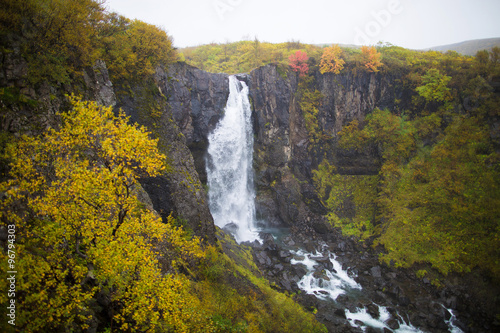 Waterfall near Svartifoss